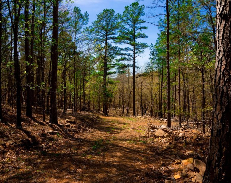 Stone Creek Phase II Tract 191 in Latimer County, OK
