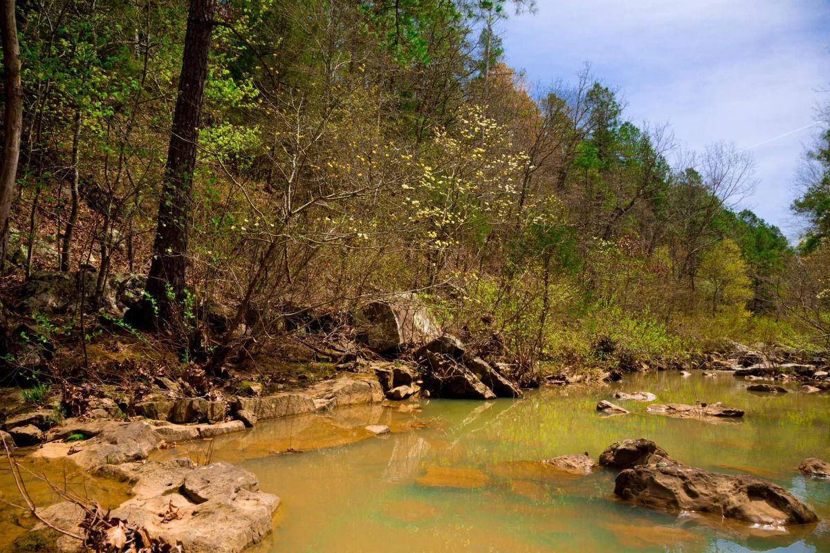 Decorative background for Stone Creek Phase II Tract 191 image 5
