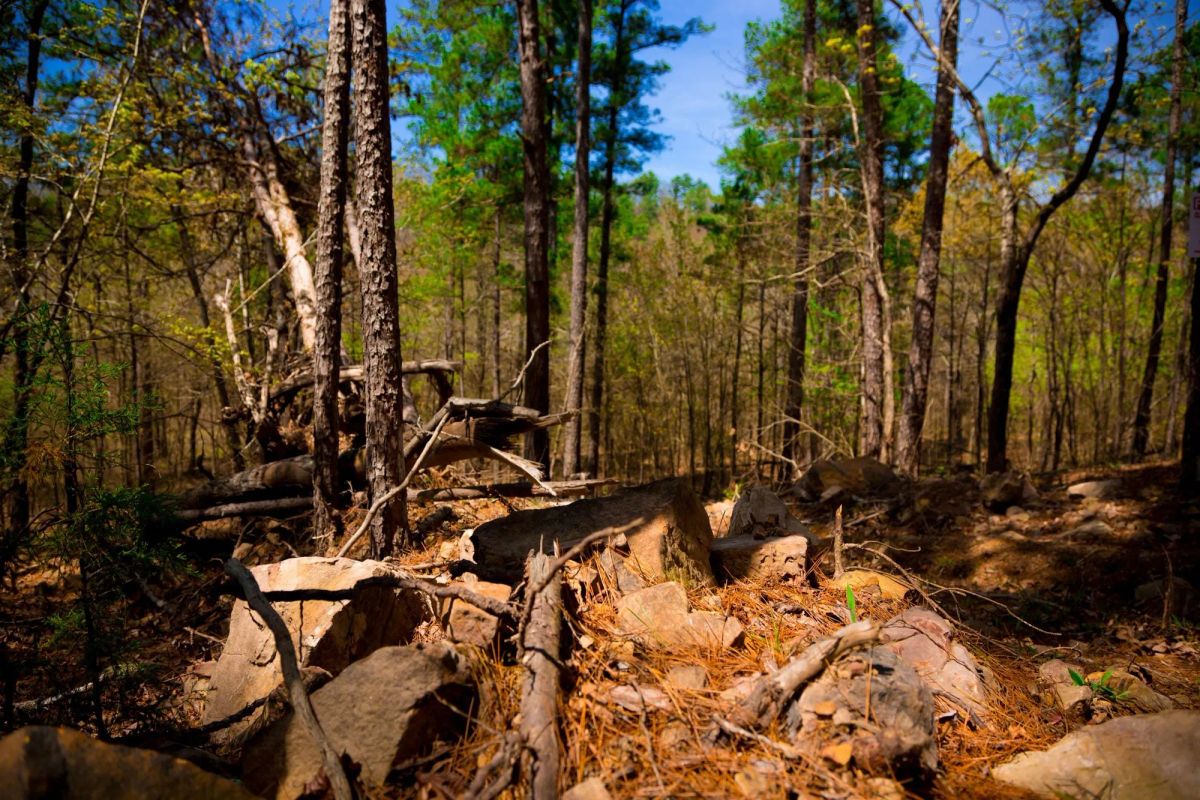 Decorative background for Stone Creek Phase II Tract 191 image 8