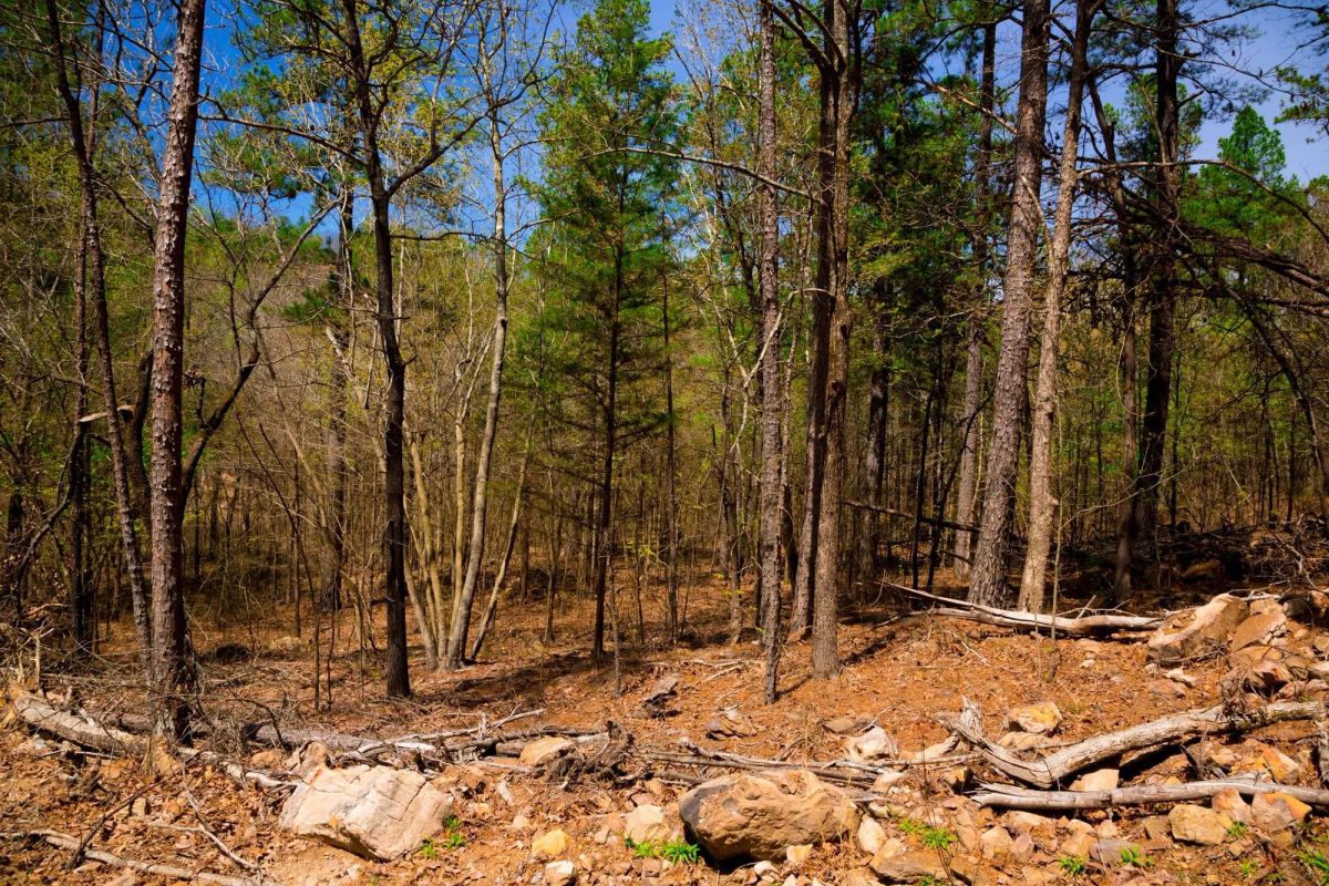 Decorative background for Stone Creek Phase II Tract 191 image 9