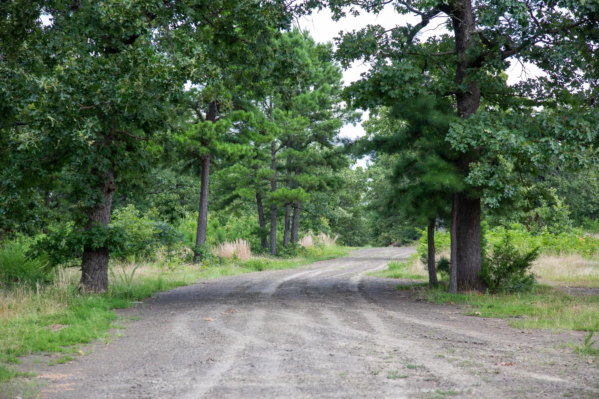Tyler Stone Ranch Tract 17 in Le Flore County, OK