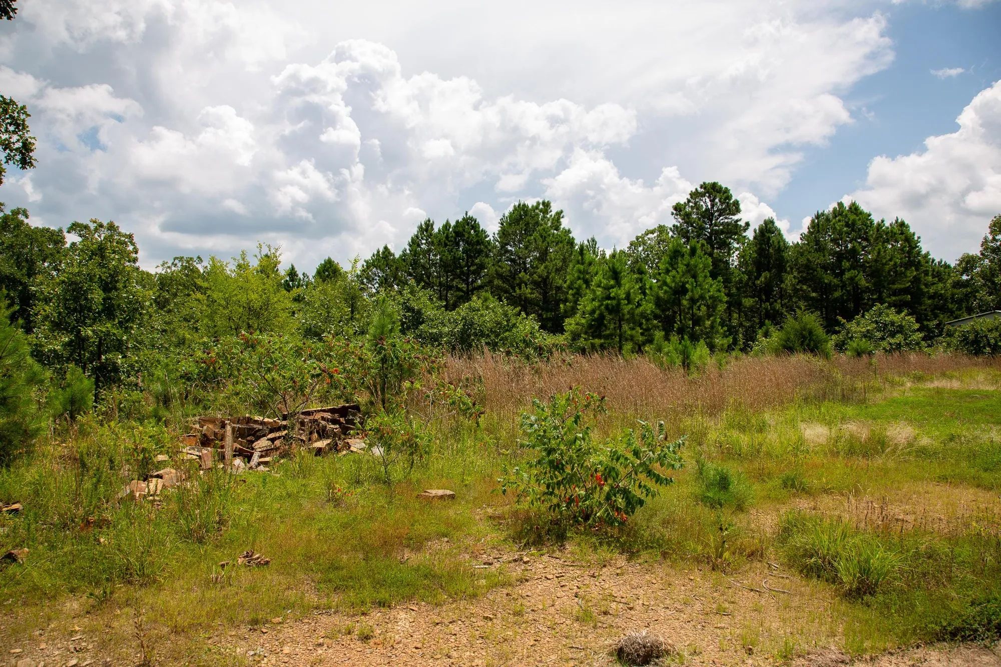 Tyler Stone Ranch Tract 17 in Le Flore County, OK