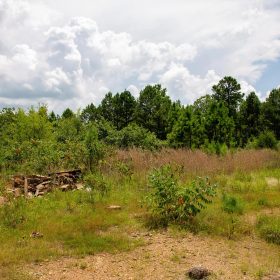 Tyler Stone Ranch Tract 17 in Le Flore County, OK