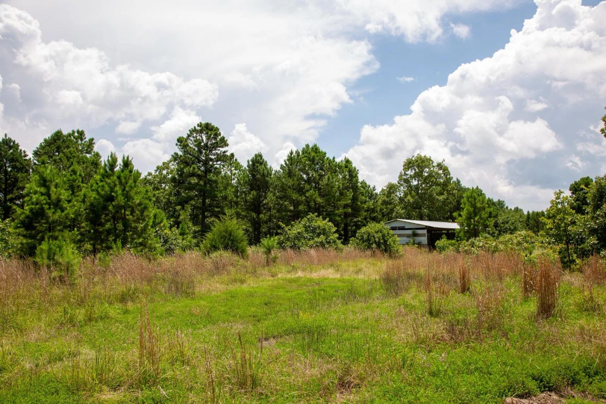 Tyler Stone Ranch Tract 17 - Image 4