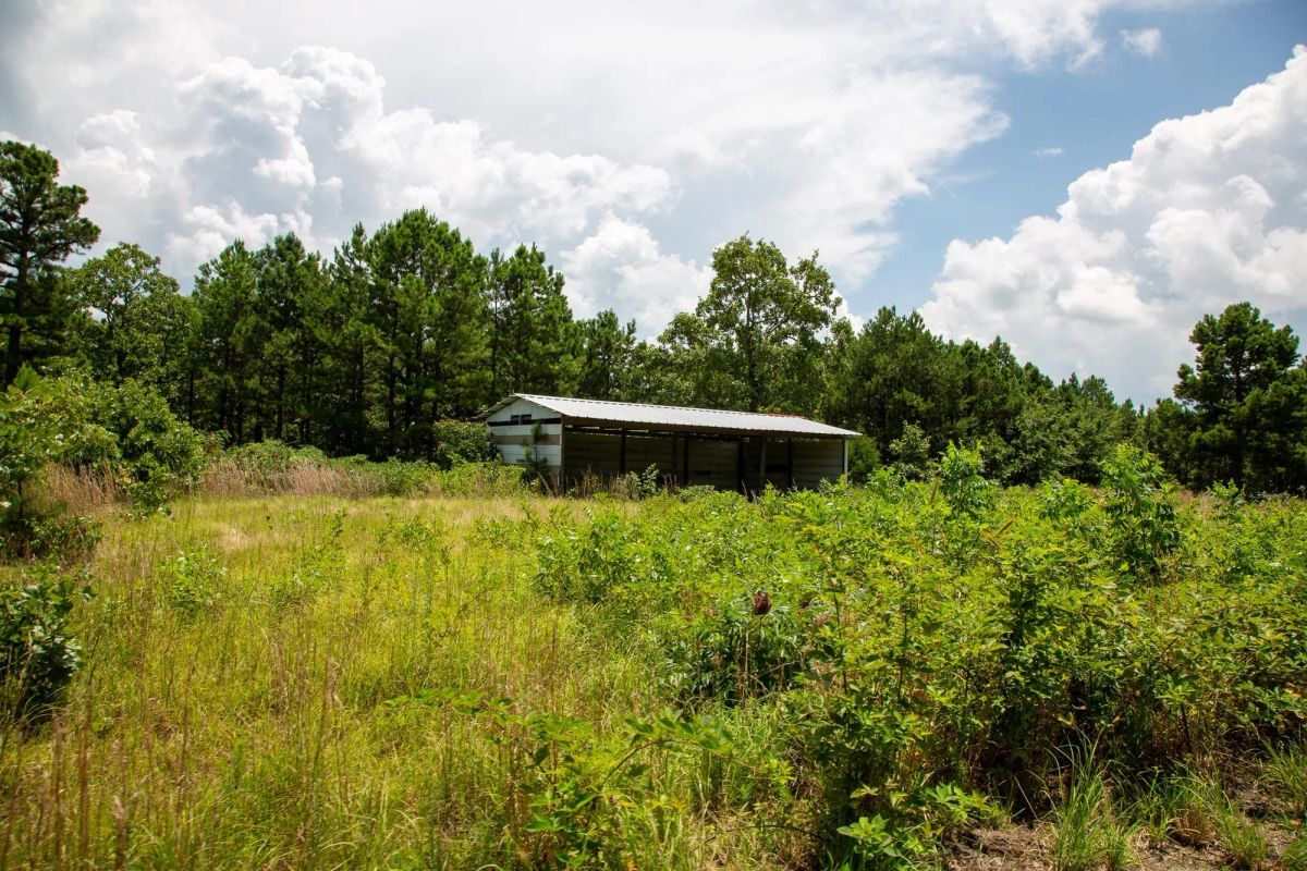 Decorative background for Tyler Stone Ranch Tract 17 image 5