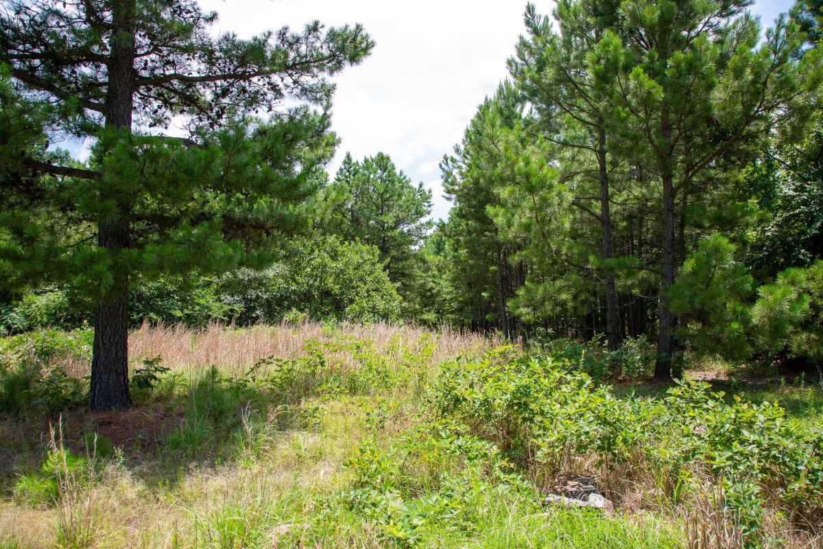 Decorative background for Tyler Stone Ranch Tract 17 image 7