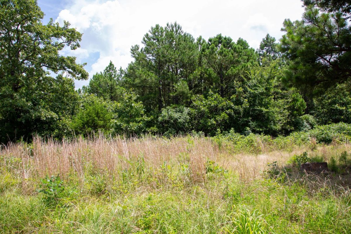 Decorative background for Tyler Stone Ranch Tract 17 image 9