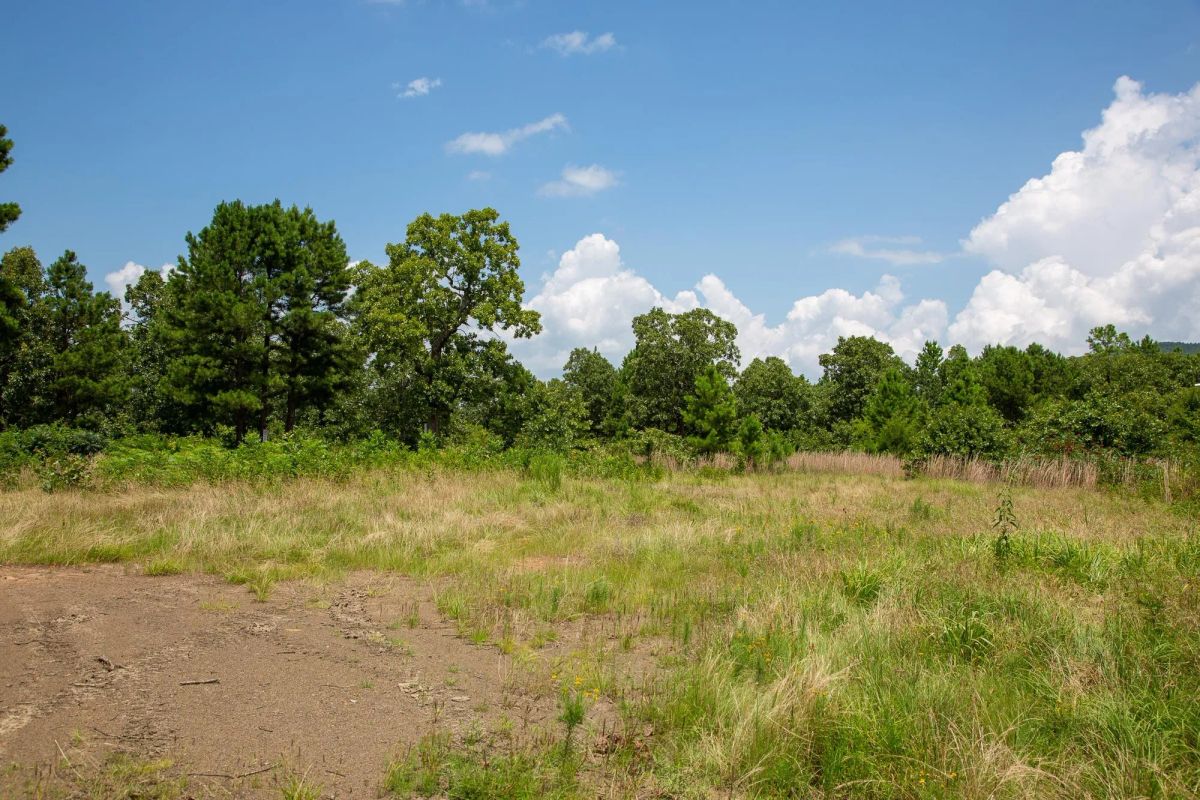 Decorative background for Tyler Stone Ranch Tract 17 image 10