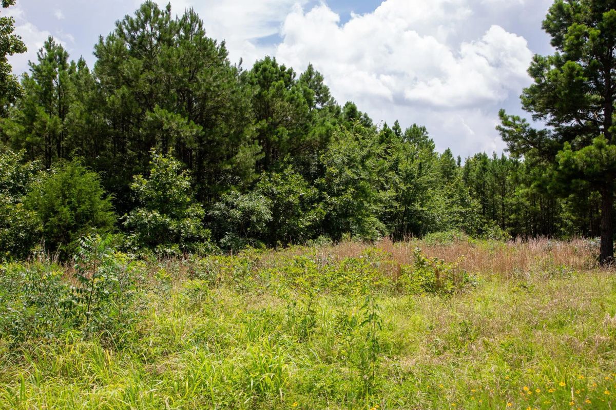 Decorative background for Tyler Stone Ranch Tract 17 image 12