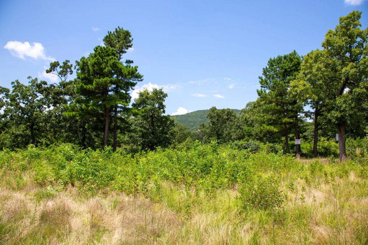 Decorative background for Tyler Stone Ranch Tract 17 image 13