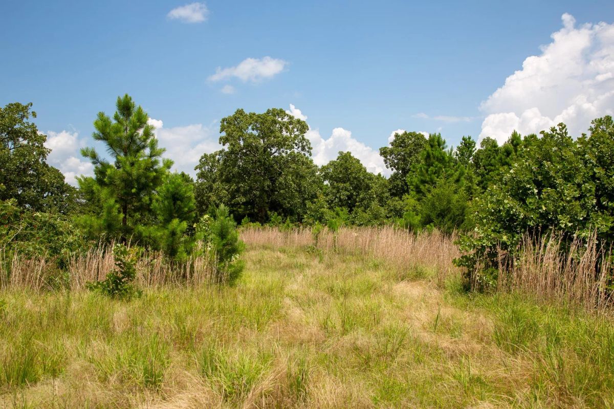 Decorative background for Tyler Stone Ranch Tract 17 image 14