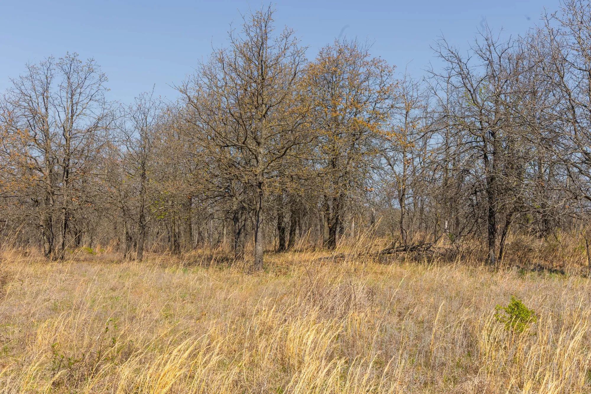 JLH Estates Tract 1 in Okfuskee County, OK