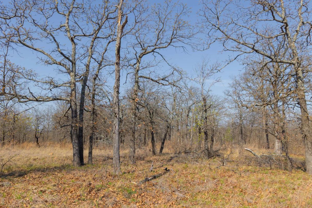 JLH Estates Tract 1 - Image 4
