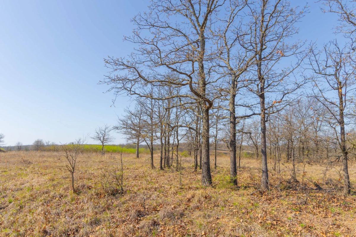 Decorative background for JLH Estates Tract 1 image 10