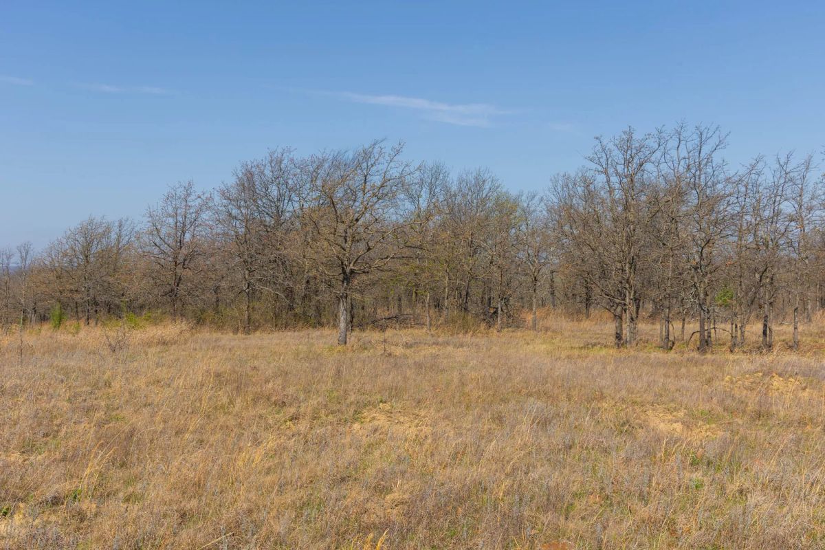 Decorative background for JLH Estates Tract 1 image 13