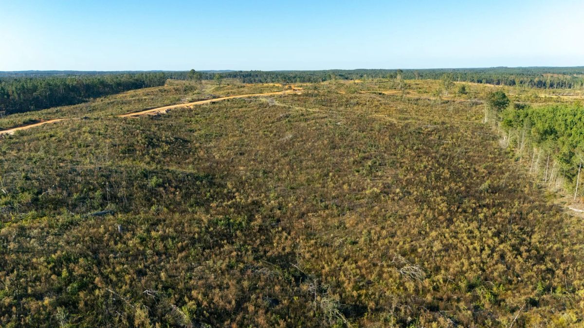 Meyer’s Ridge Tract 39 - Main image