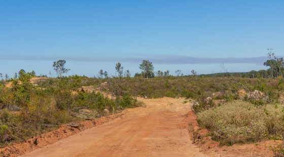 Meyer’s Ridge Tract 39 in Attala County, MS
