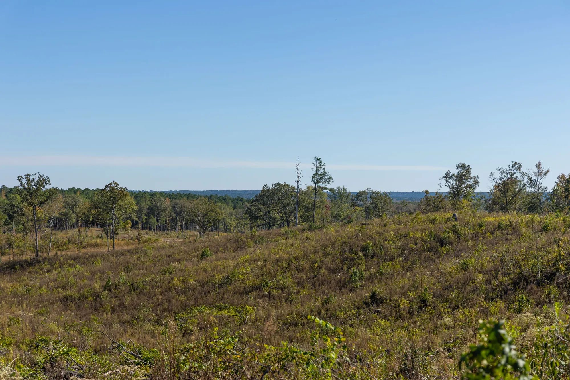 Meyer’s Ridge Tract 39 in Attala County, MS