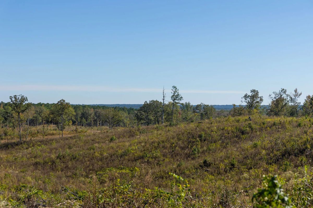 Meyer’s Ridge Tract 39 - Image 3