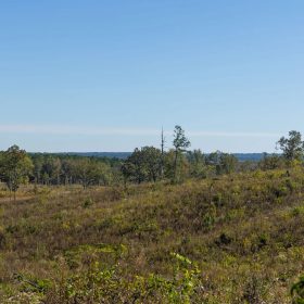 Meyer’s Ridge Tract 39 in Attala County, MS