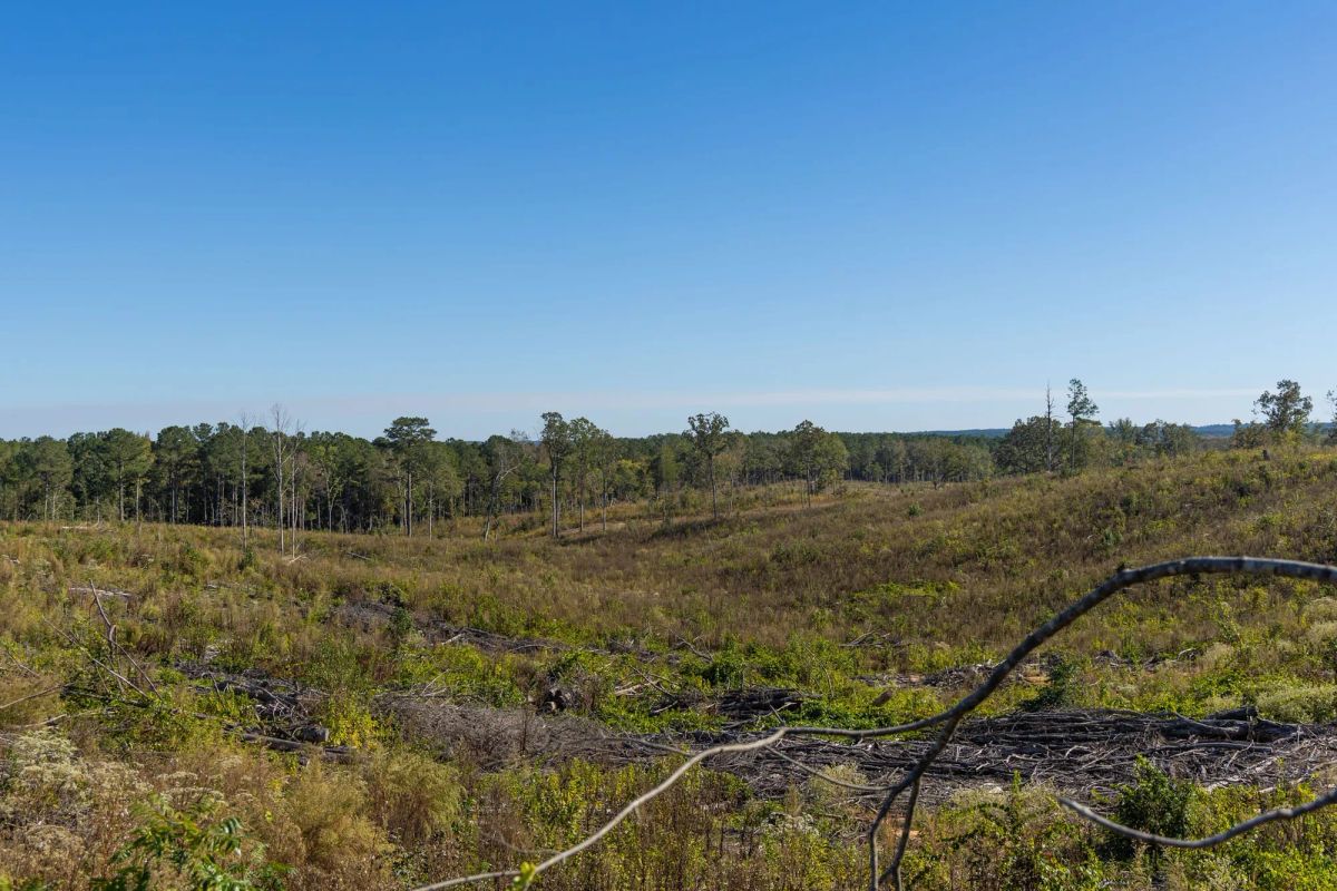 Decorative background for Meyer’s Ridge Tract 39 image 6