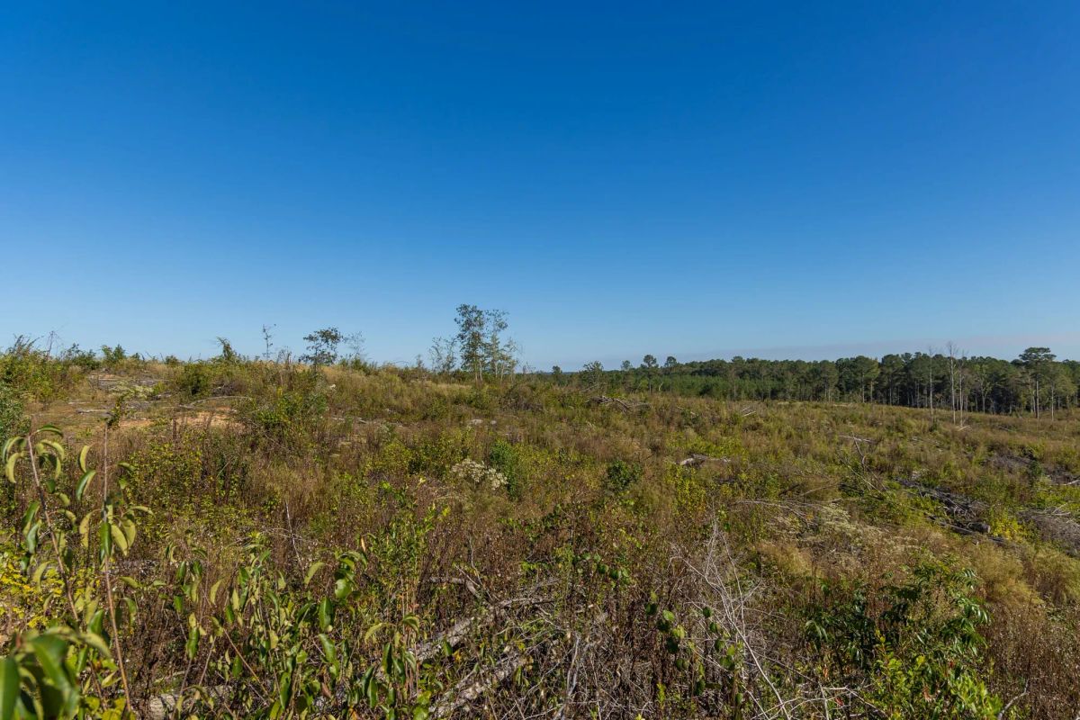 Decorative background for Meyer’s Ridge Tract 39 image 8