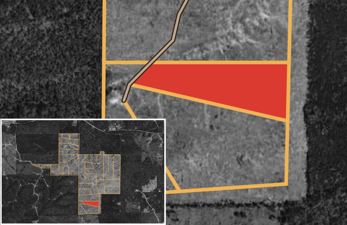Decorative background for Meyer’s Ridge Tract 39 image 11