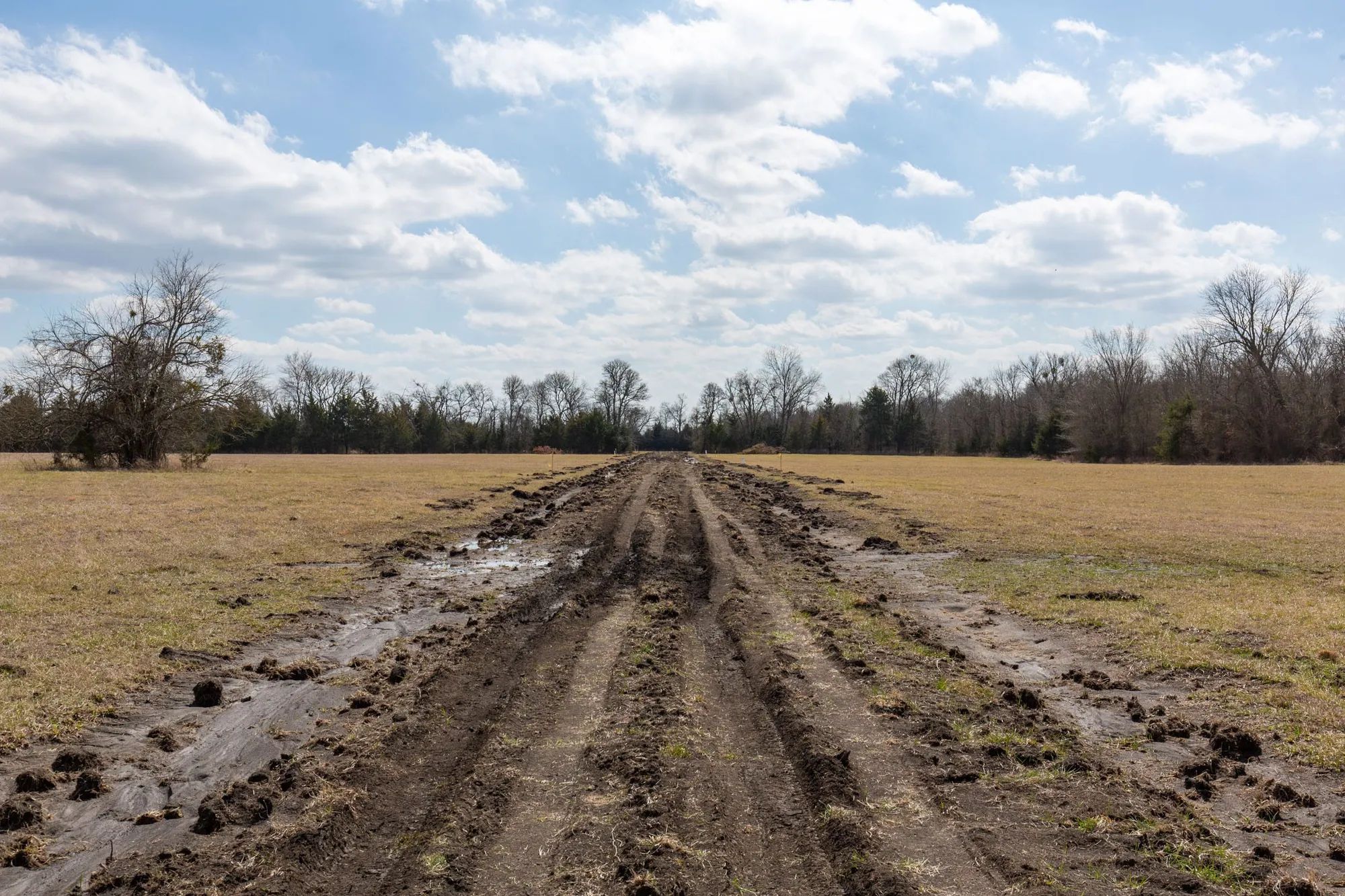 Wishing Star Ranch Tract 90 in Red River County, TX