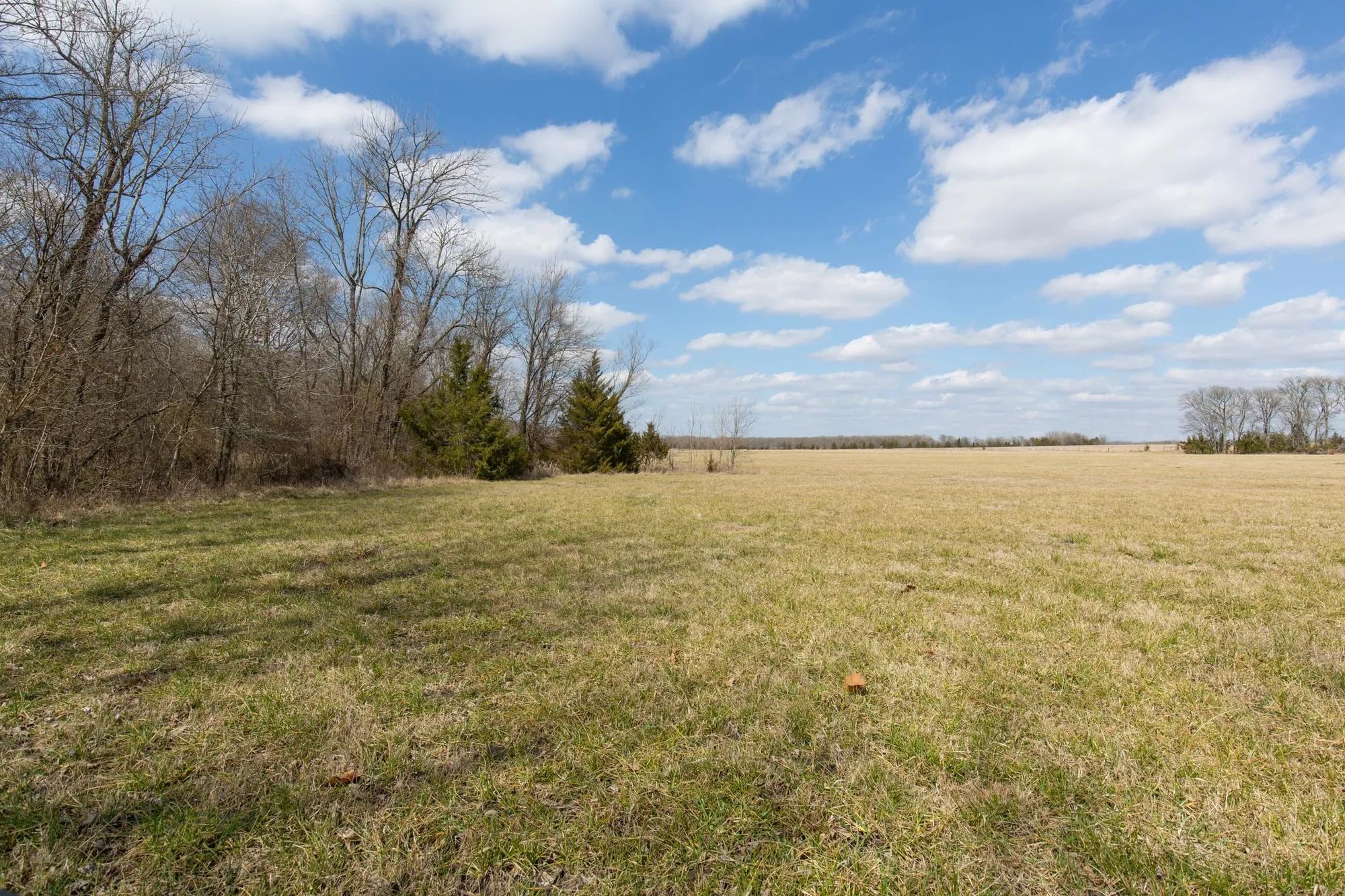 Wishing Star Ranch Tract 90 in Red River County, TX
