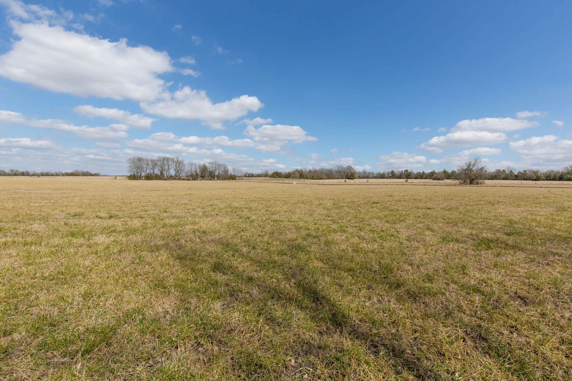 Wishing Star Ranch Tract 90 in Red River County, TX