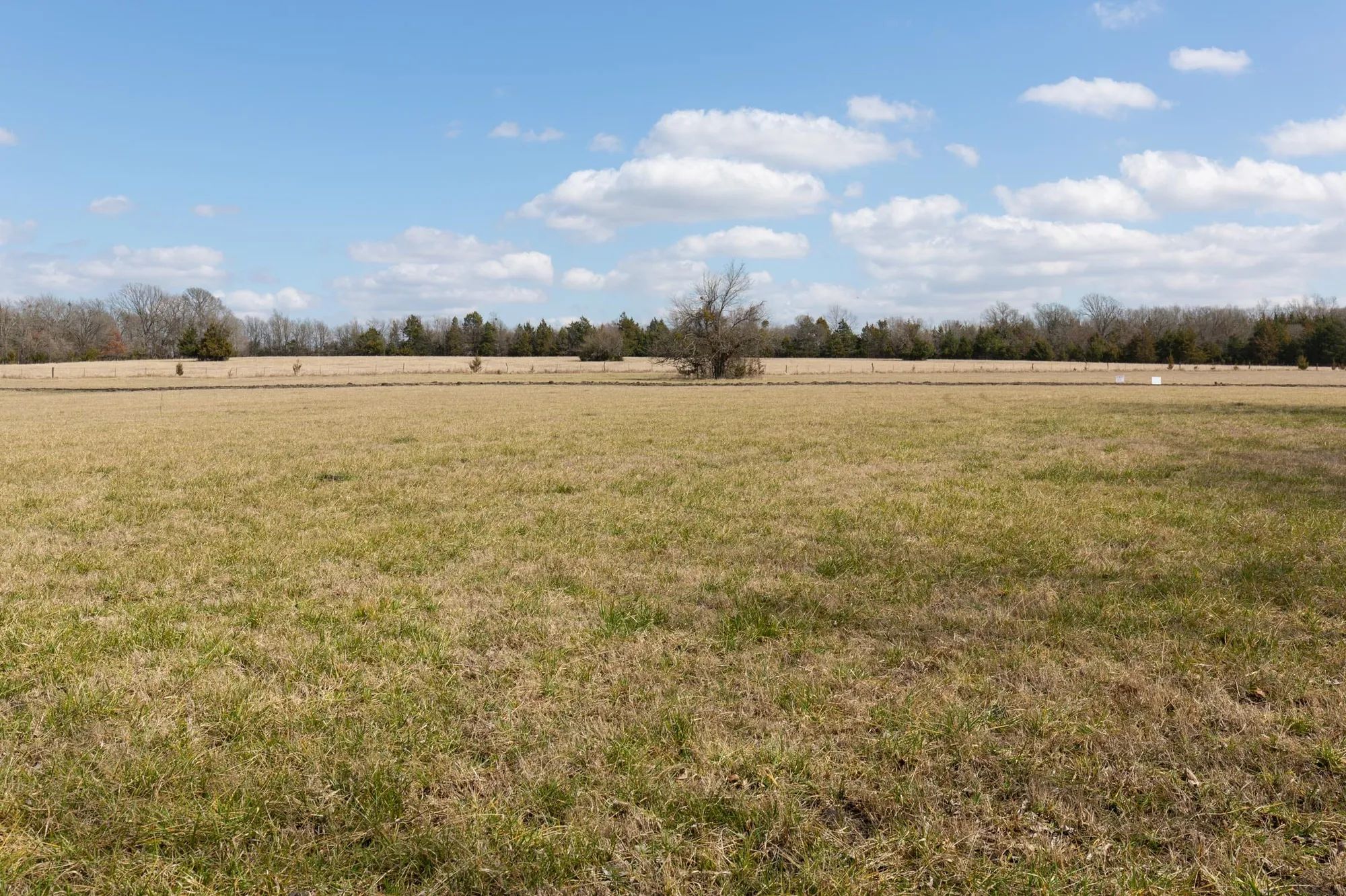Wishing Star Ranch Tract 90 in Red River County, TX