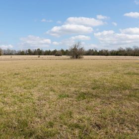 Wishing Star Ranch Tract 90 in Red River County, TX