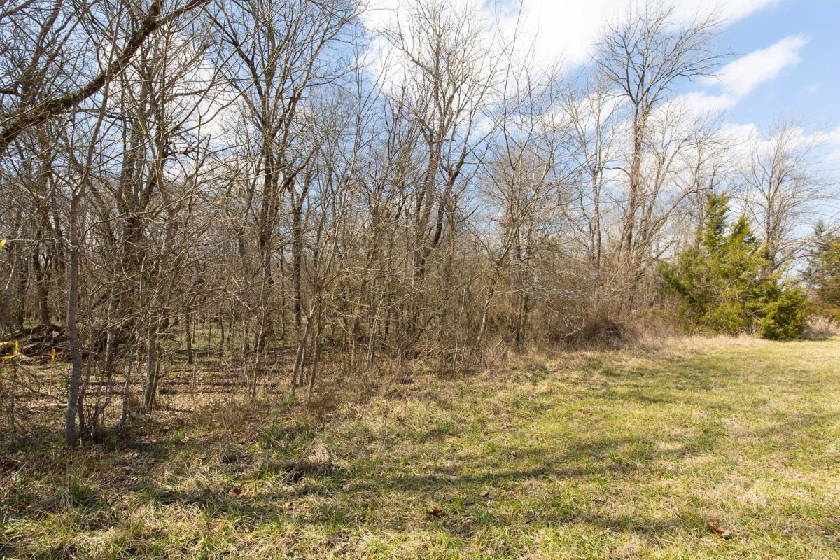 Decorative background for Wishing Star Ranch Tract 90 image 5