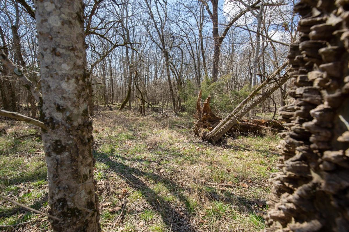 Decorative background for Wishing Star Ranch Tract 90 image 6