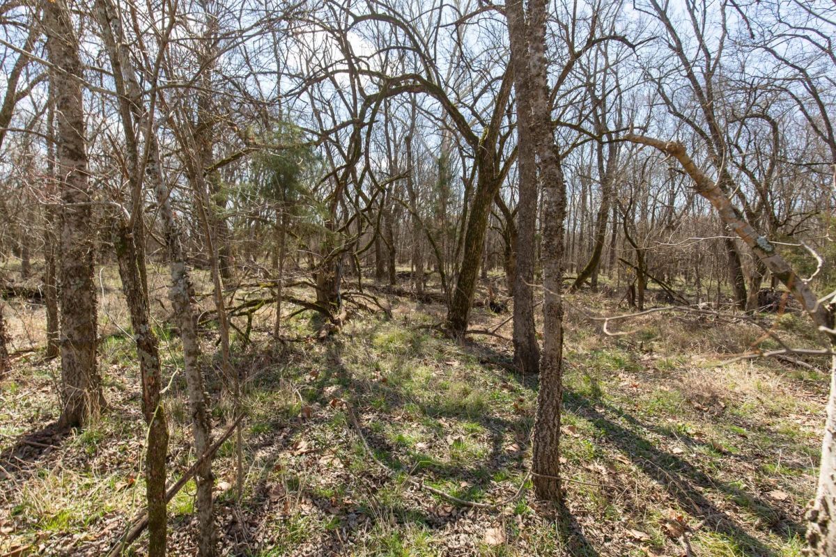 Decorative background for Wishing Star Ranch Tract 90 image 7