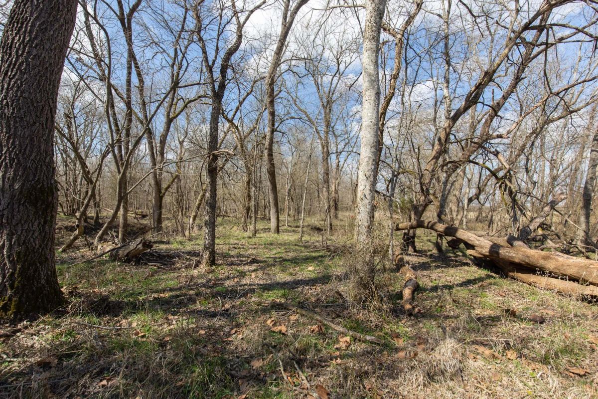 Decorative background for Wishing Star Ranch Tract 90 image 8