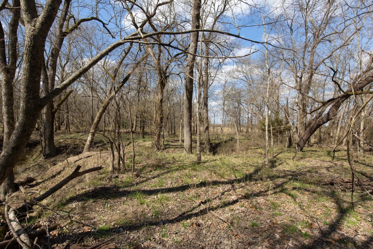 Decorative background for Wishing Star Ranch Tract 90 image 12