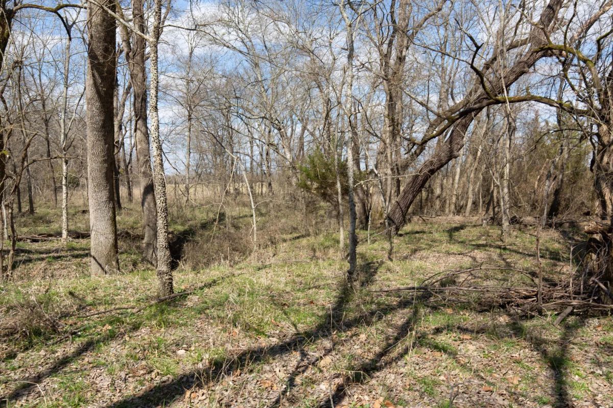 Decorative background for Wishing Star Ranch Tract 90 image 14