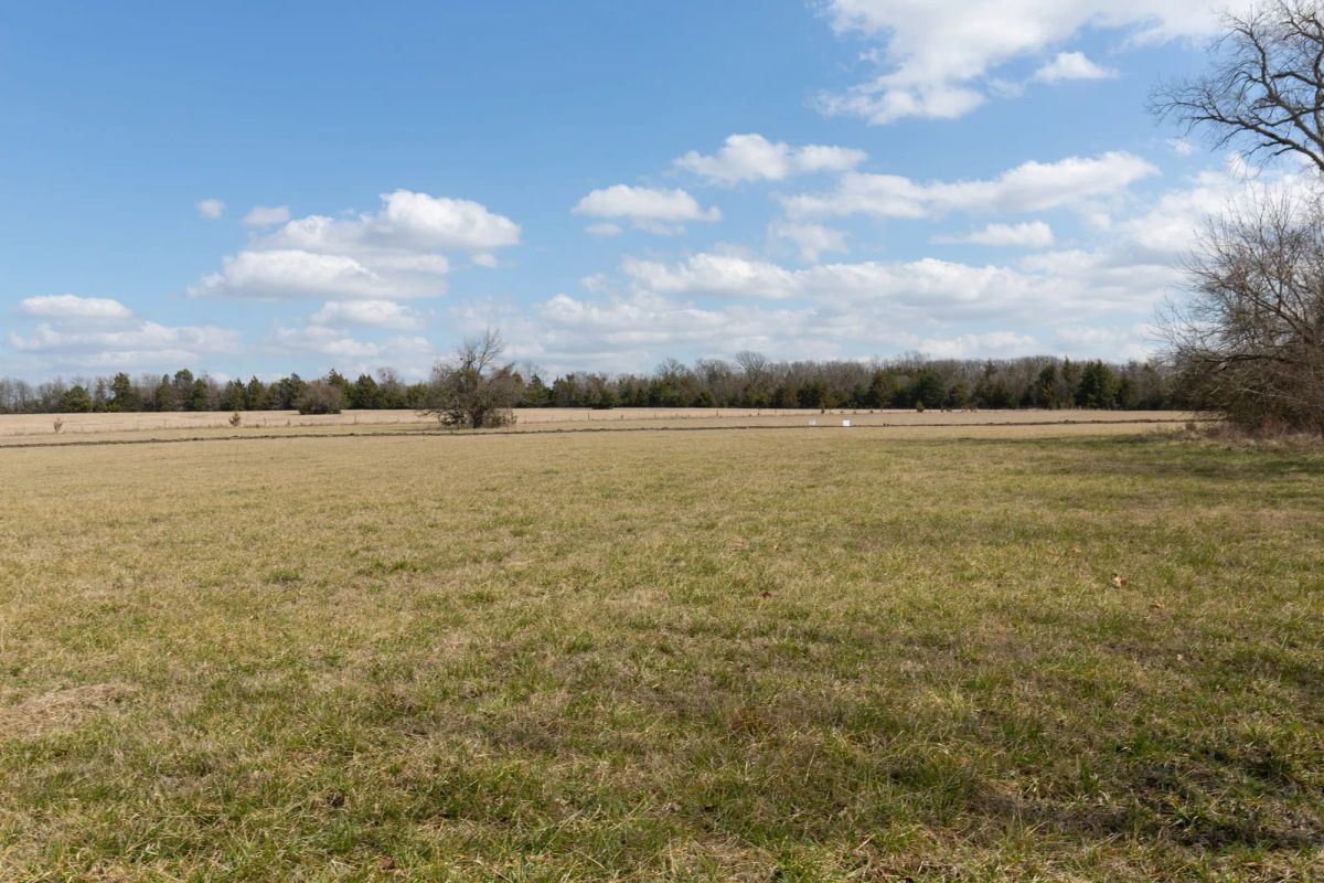 Decorative background for Wishing Star Ranch Tract 90 image 15