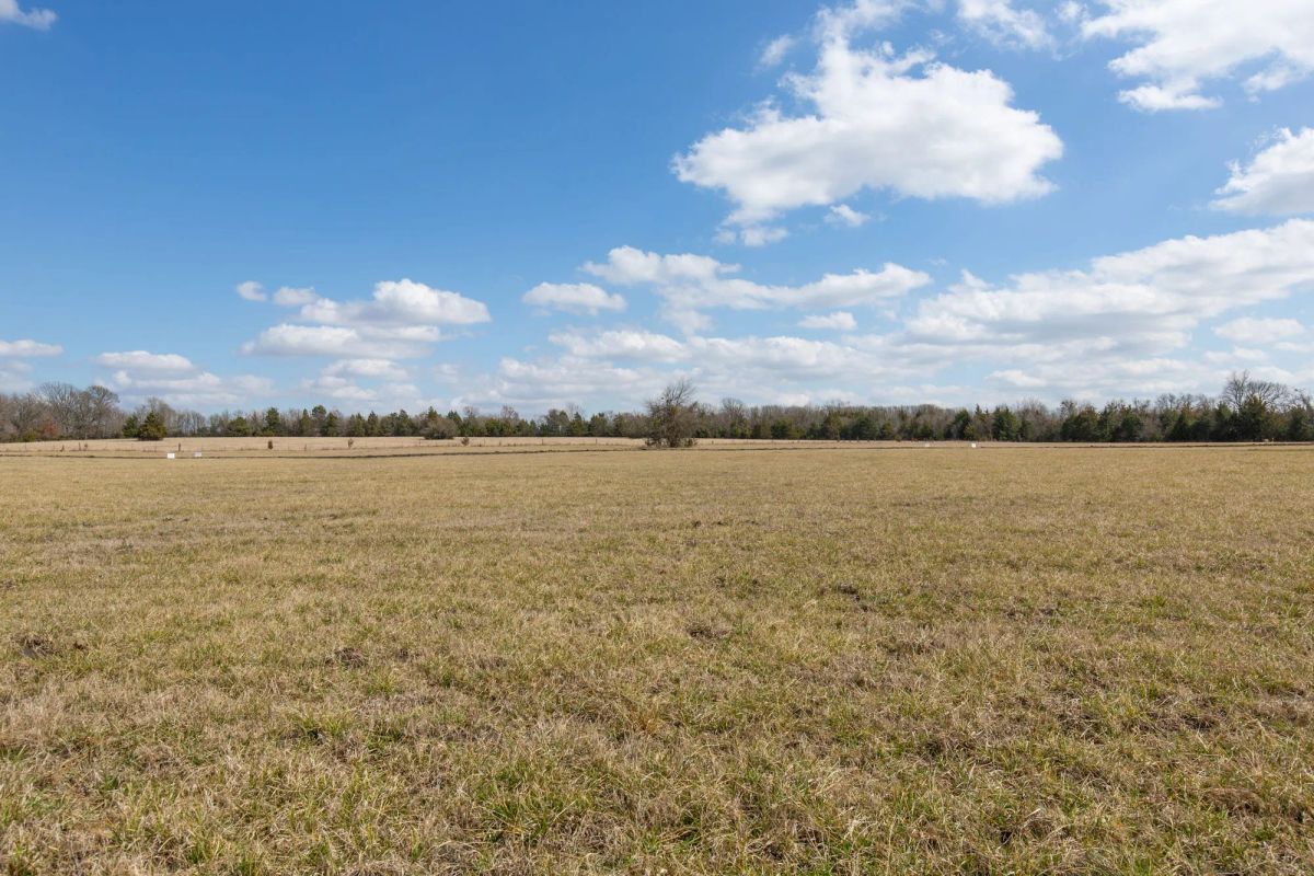 Decorative background for Wishing Star Ranch Tract 90 image 17