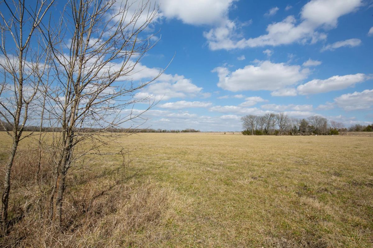 Decorative background for Wishing Star Ranch Tract 90 image 18