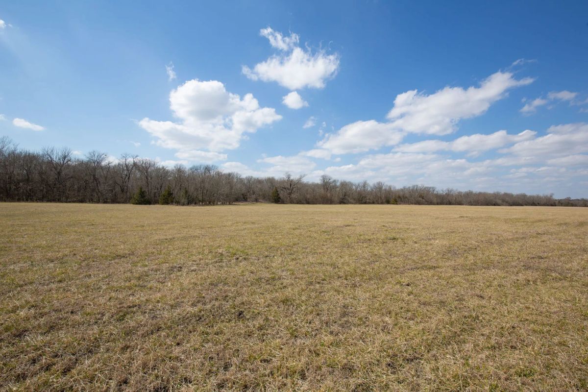 Decorative background for Wishing Star Ranch Tract 90 image 19