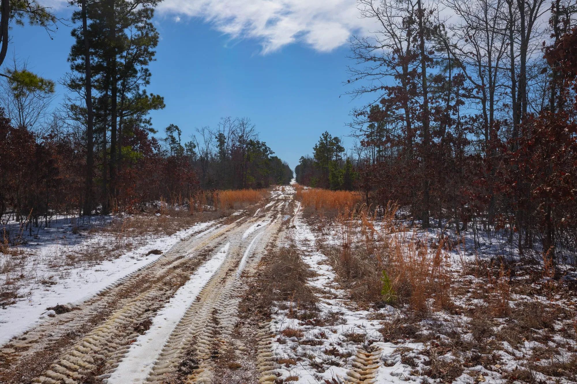 Sleepy Hollow Phase I Tract 58 in Texas County, MO