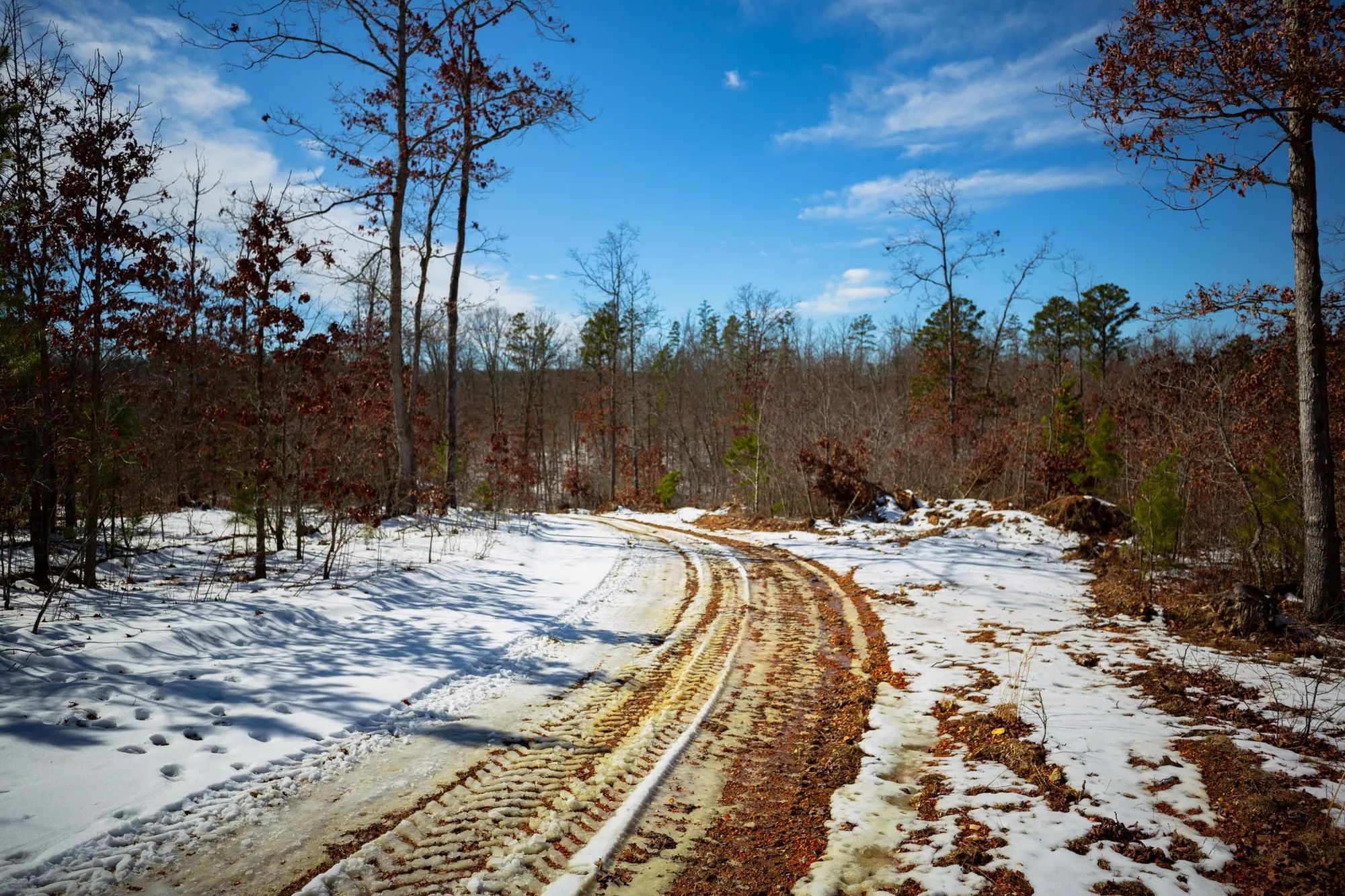 Sleepy Hollow Phase I Tract 58 in Texas County, MO