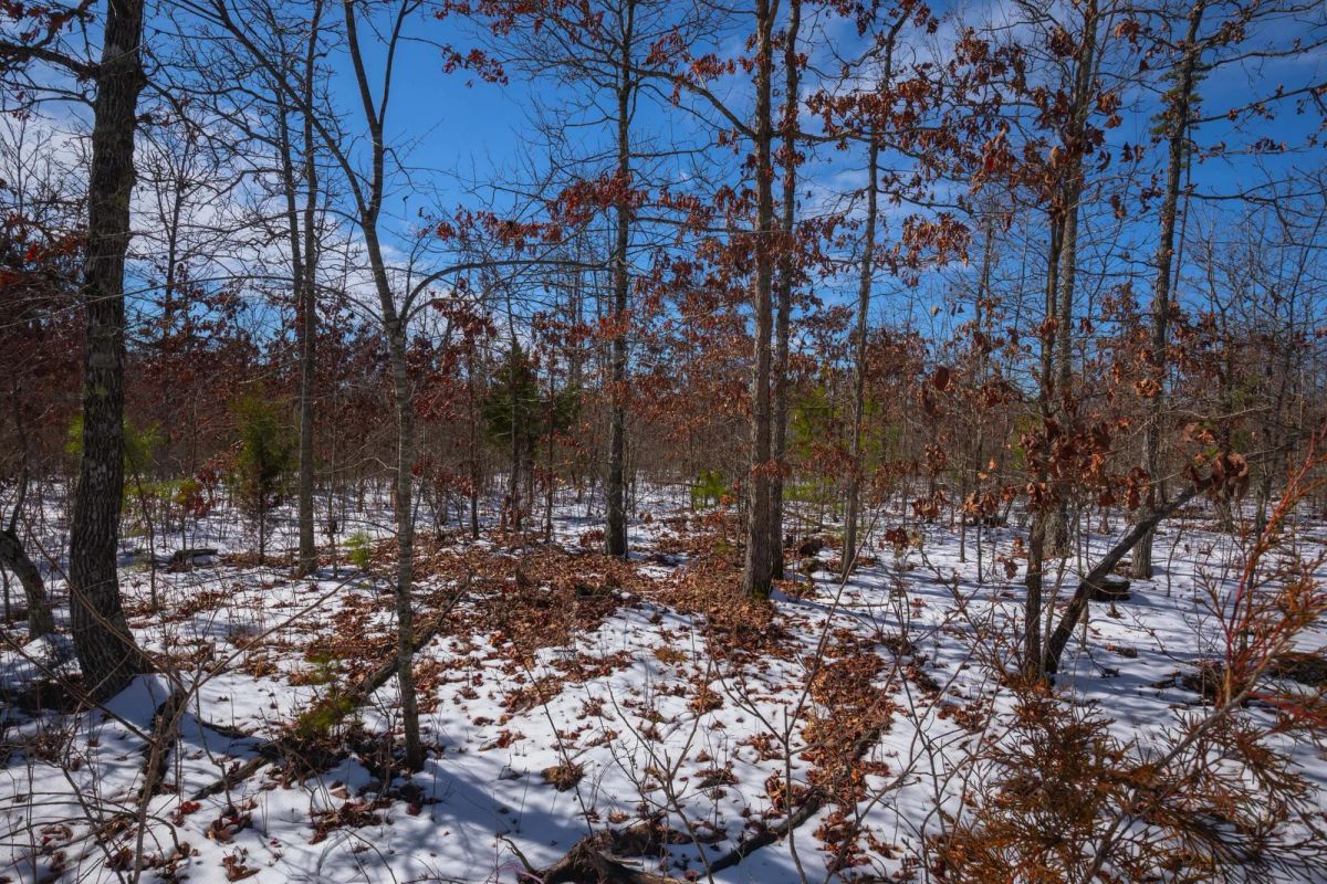 Decorative background for Sleepy Hollow Phase I Tract 58 image 5
