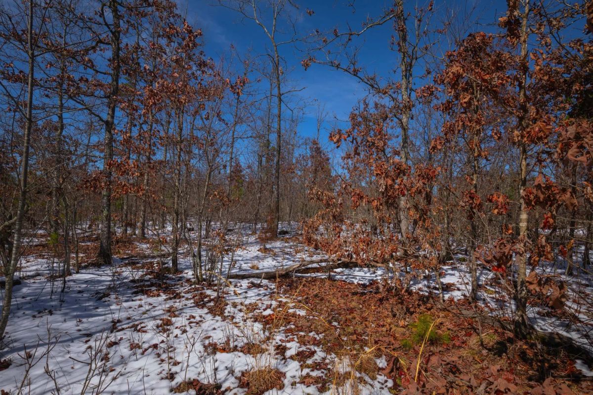 Decorative background for Sleepy Hollow Phase I Tract 58 image 8