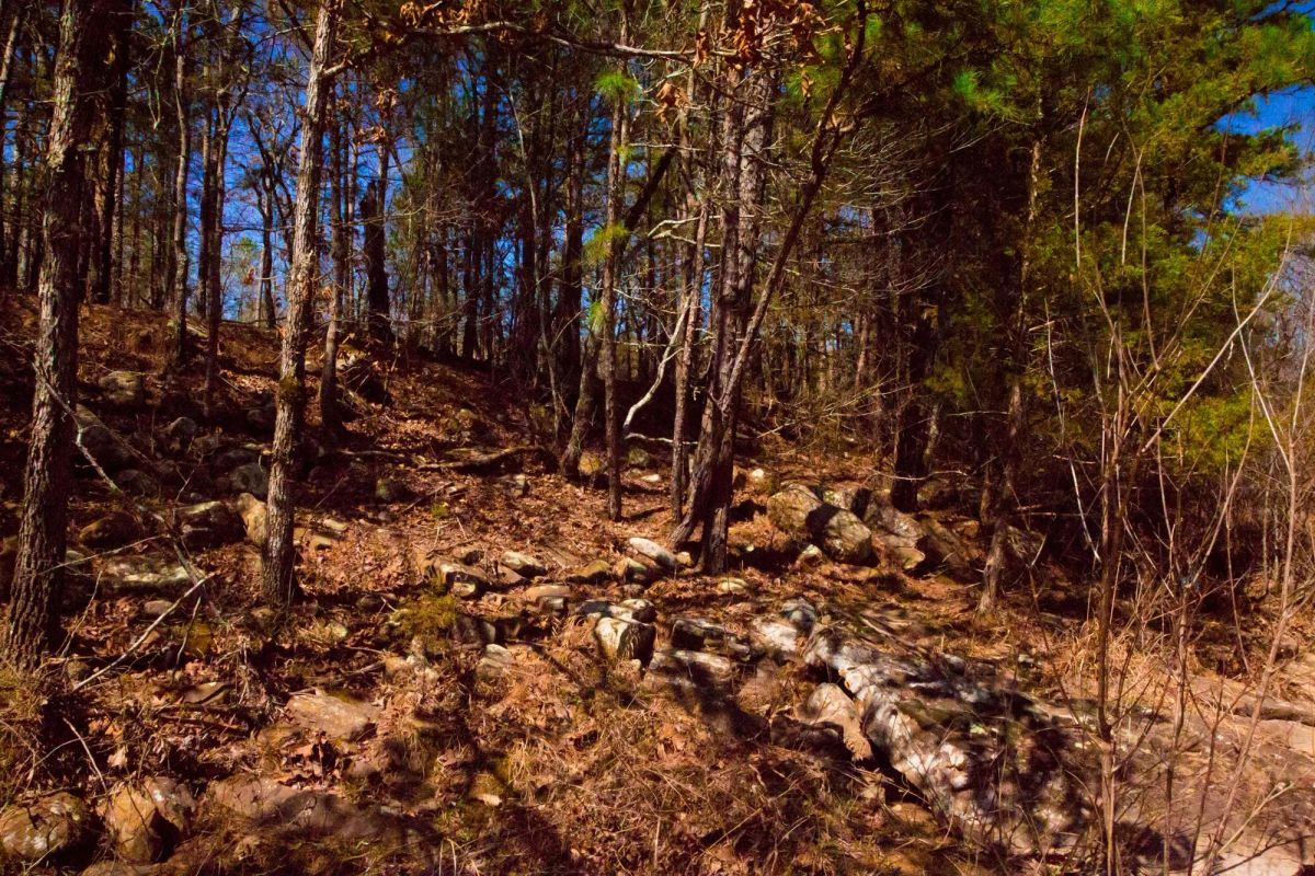 Decorative background for Stone Creek Phase II Tract 127 image 5