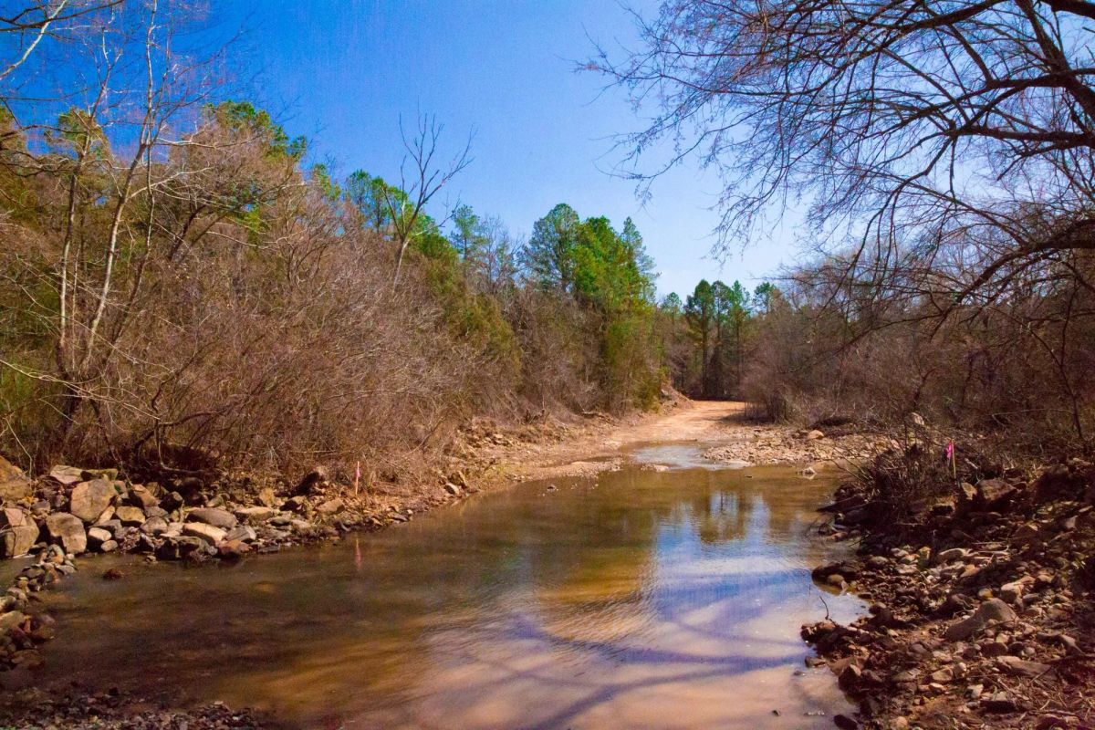 Decorative background for Stone Creek Phase II Tract 127 image 6