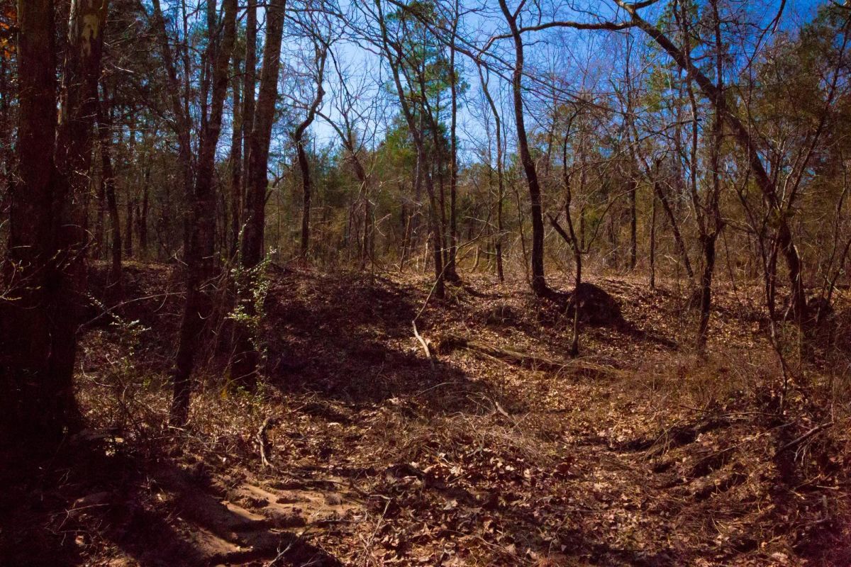 Decorative background for Stone Creek Phase II Tract 127 image 7
