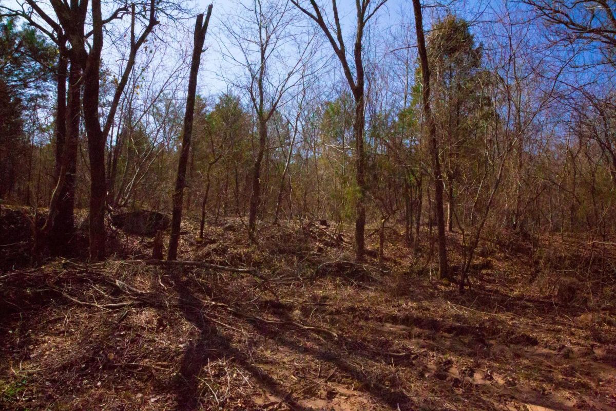 Decorative background for Stone Creek Phase II Tract 127 image 8